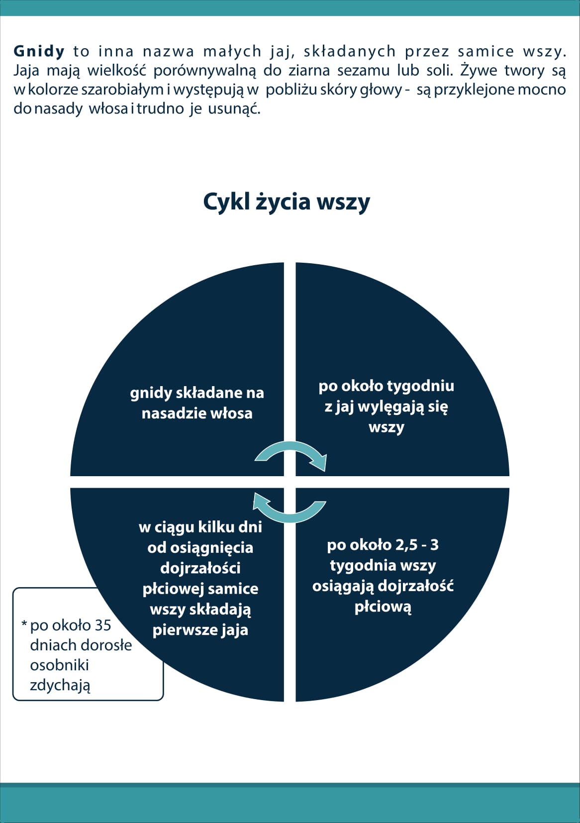 Wszy broszura 03