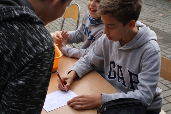 img-335000245399-BDD2-9AA2-63F2-8E38D77AA979.jpg